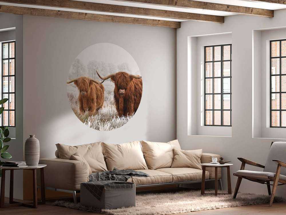 Highlander Invernale