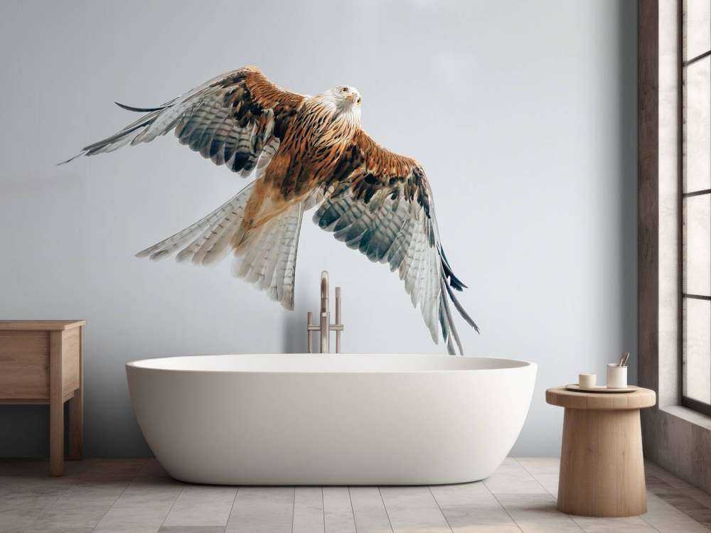 Aquilone rosso nel cielo