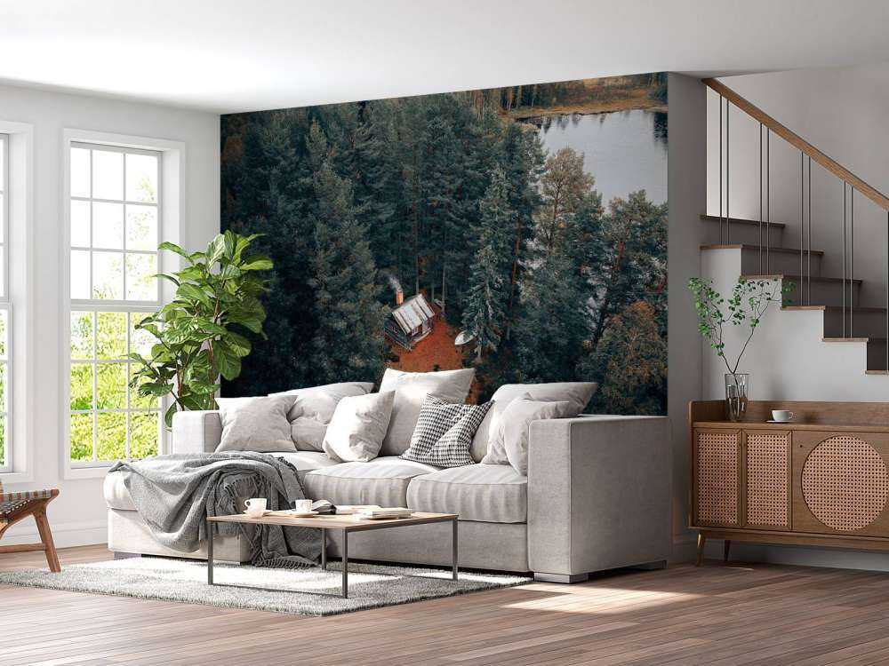 Capanna circondata da foresta e laghi