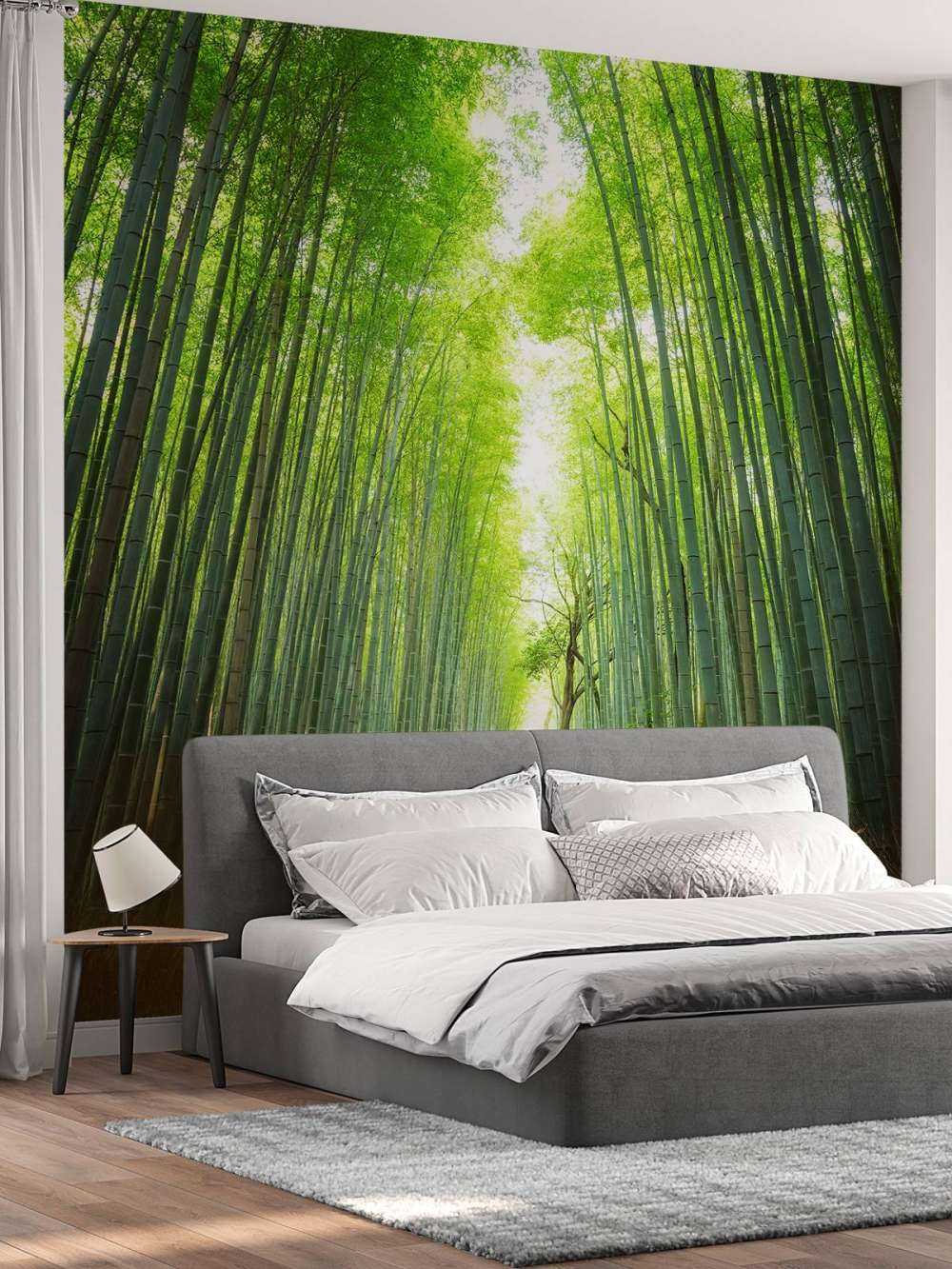 Sentiero attraverso il bambù