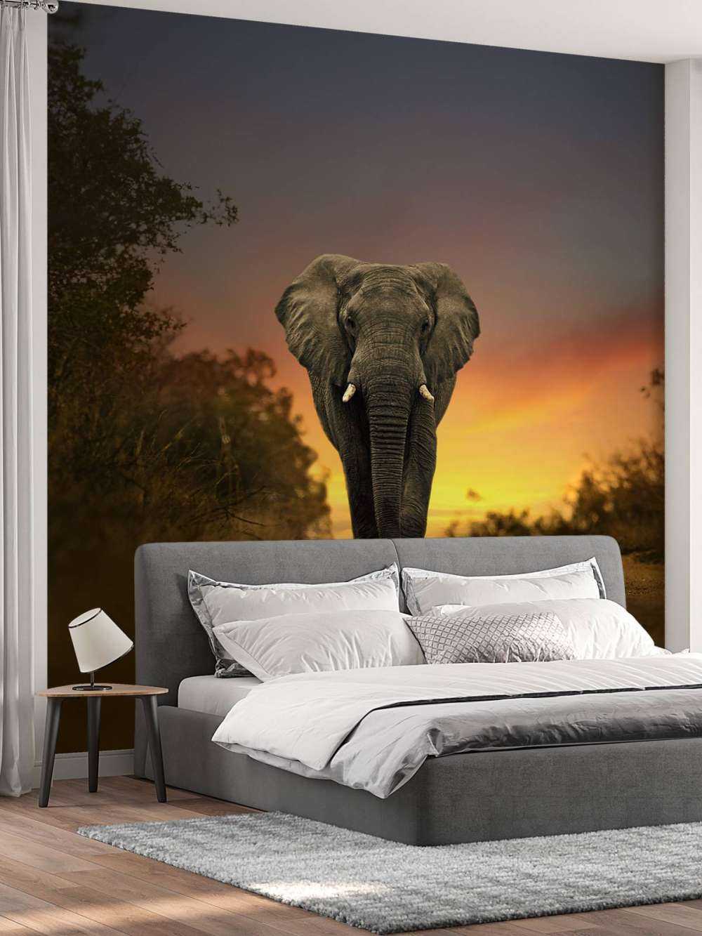 Elefante al tramonto
