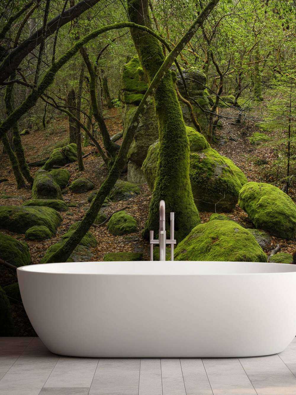 Alberi e pietre di muschio