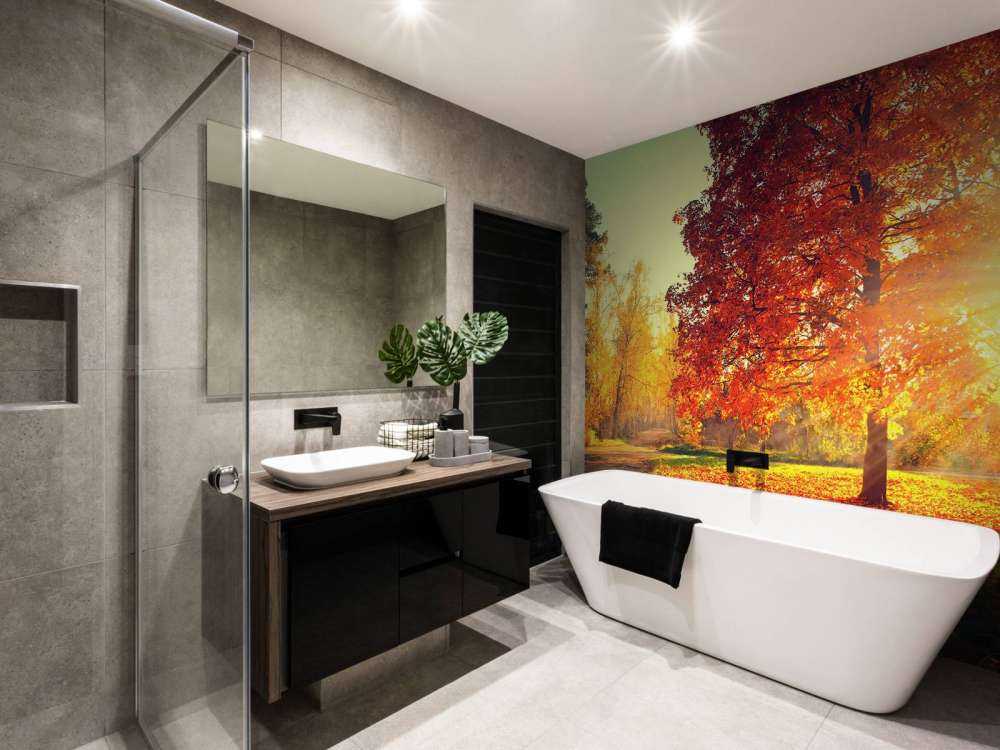 Alberi d'autunno alla luce del sole