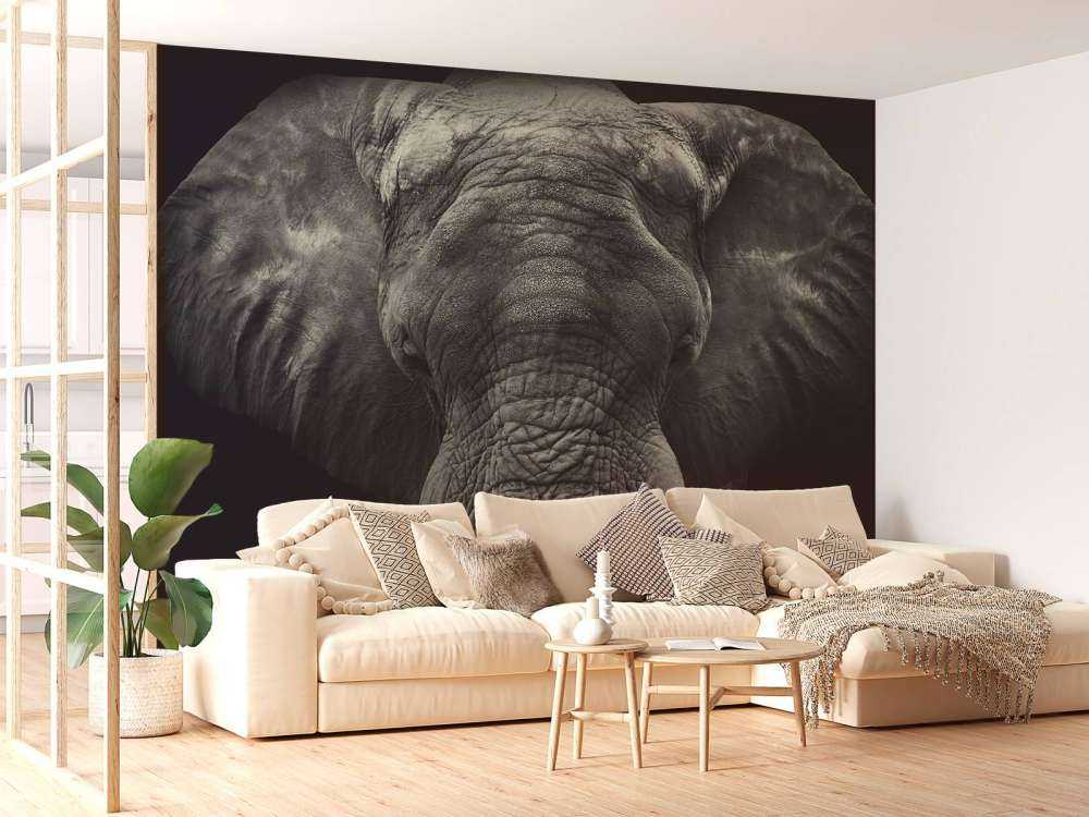 Primo piano di un elefante