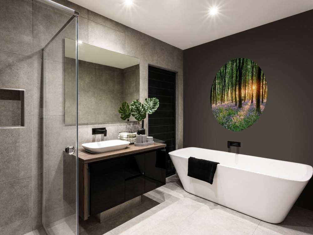 Sentiero della foresta all'alba