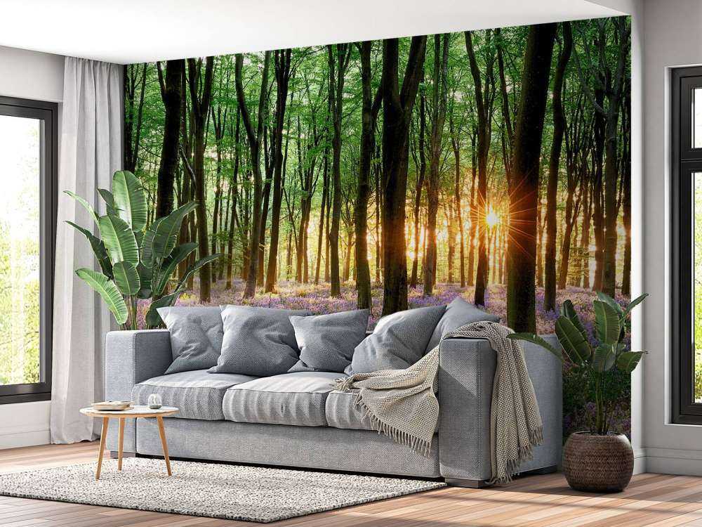 Sentiero della foresta all'alba