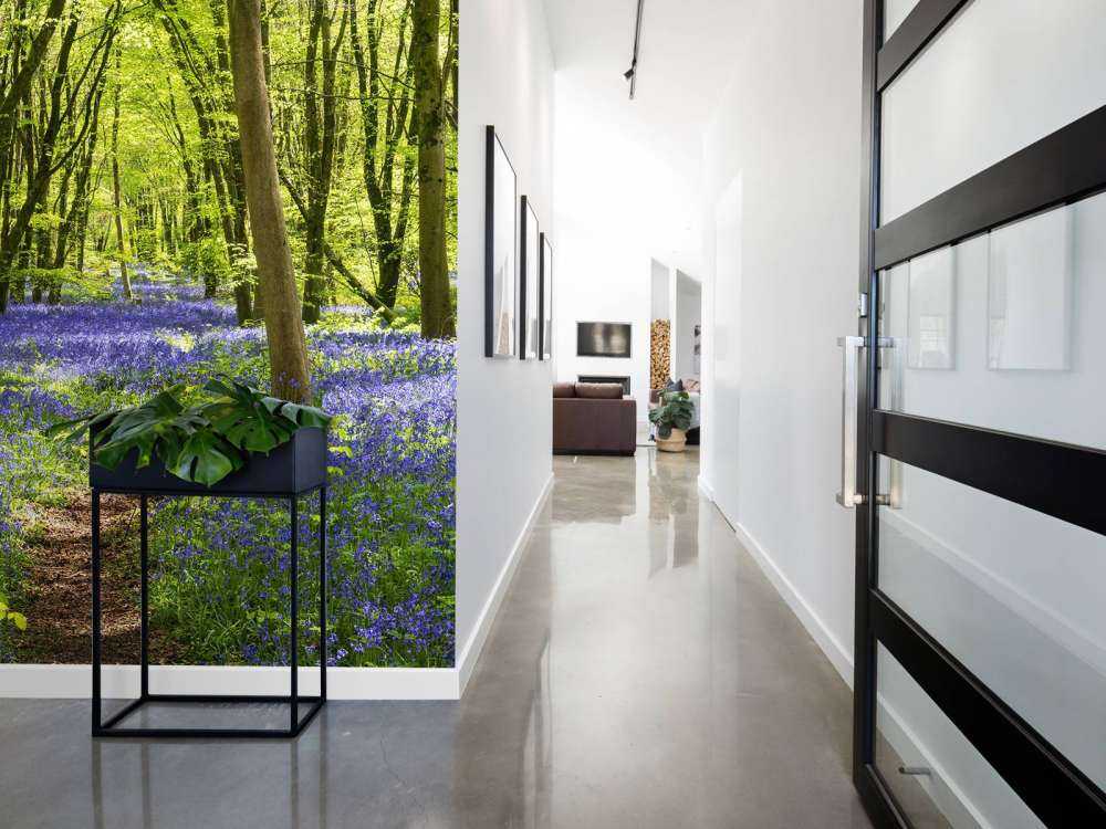 Foresta alla luce del sole