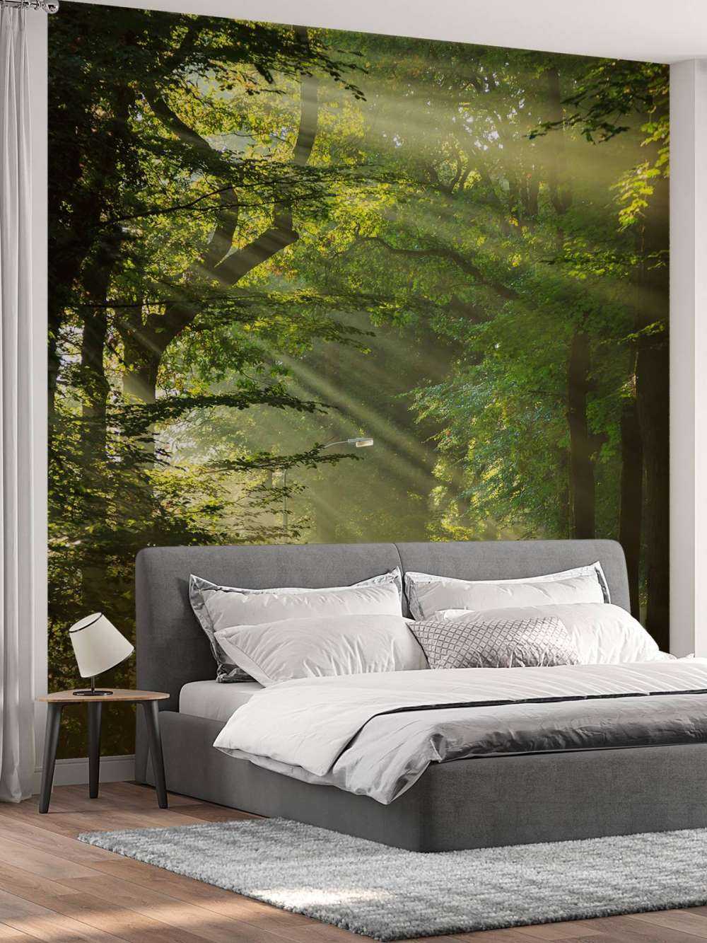 Raggi di sole attraverso gli alberi