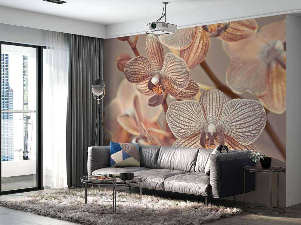 Orchidea ravvicinata