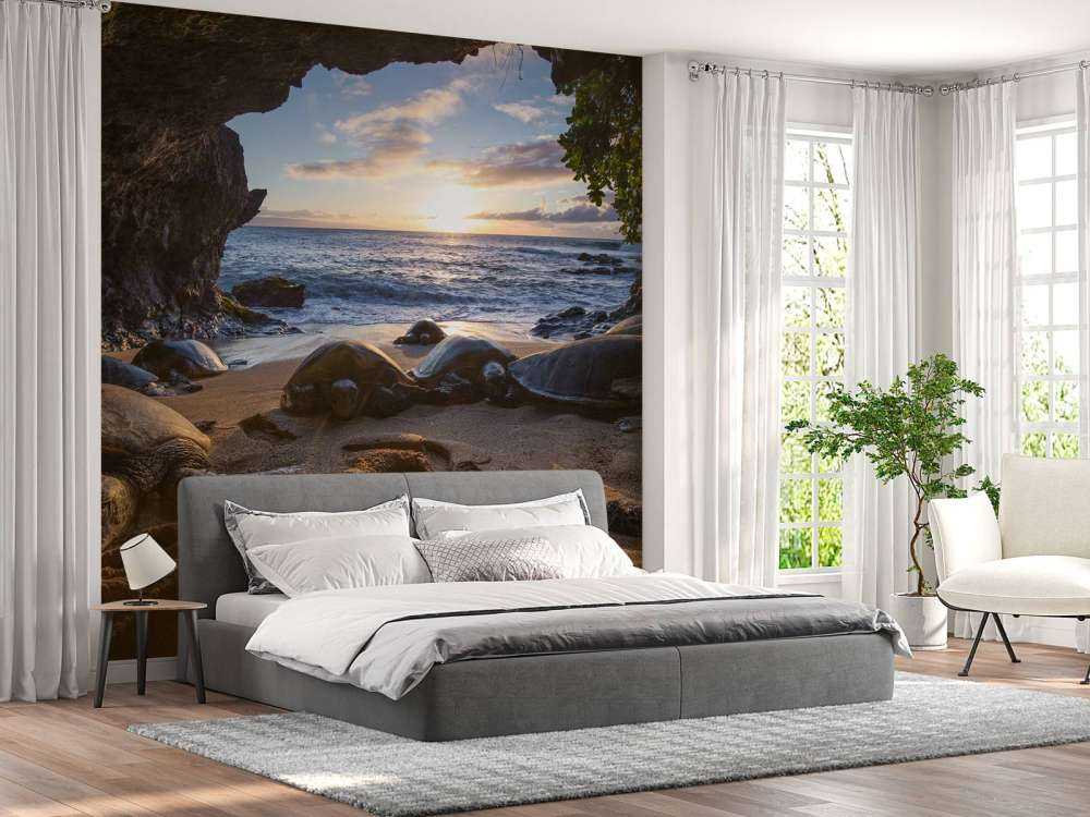 Tartarughe in una grotta