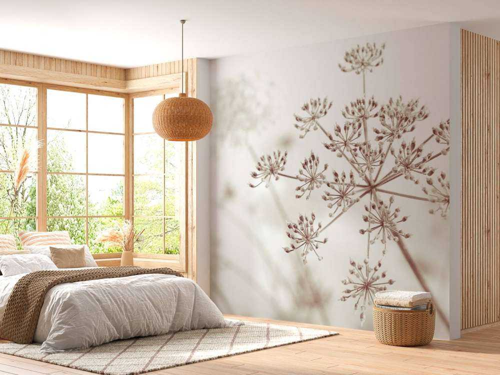 Prezzemolo di mucca ravvicinato