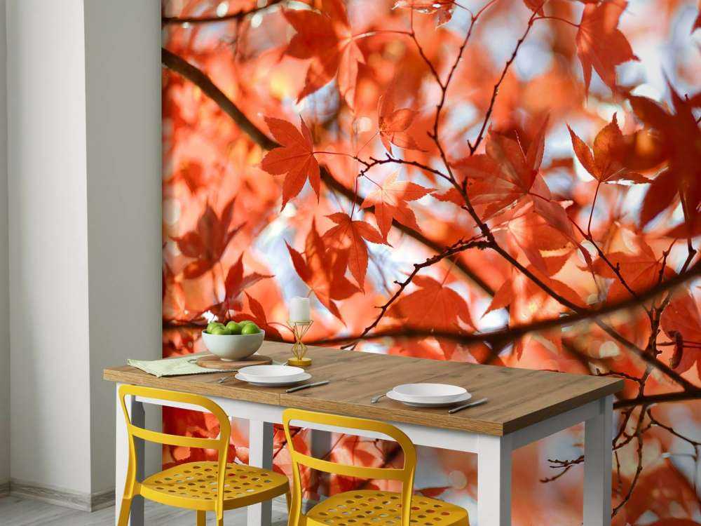 Foglie autunnali colorate