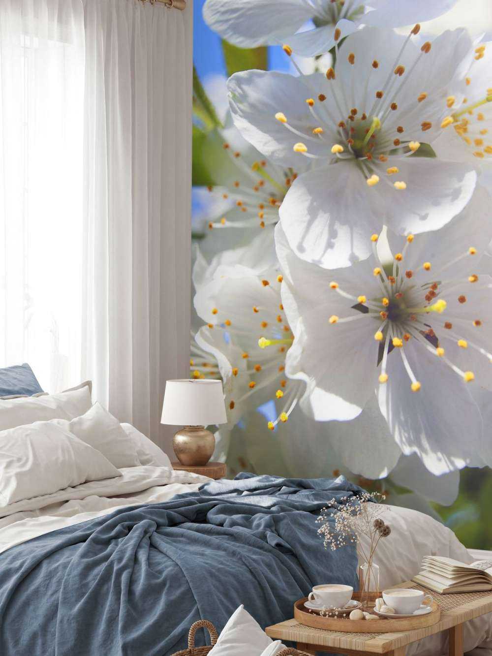 Fiori bianchi ravvicinati