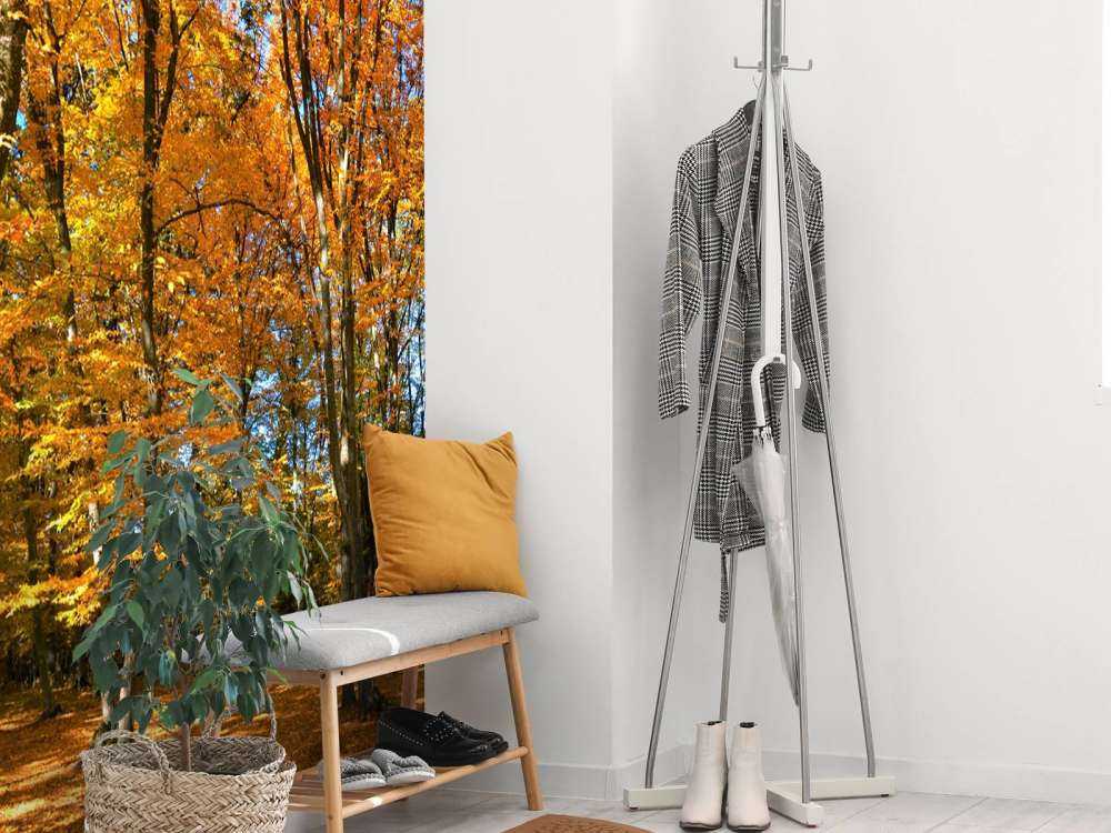 Autunno nella foresta