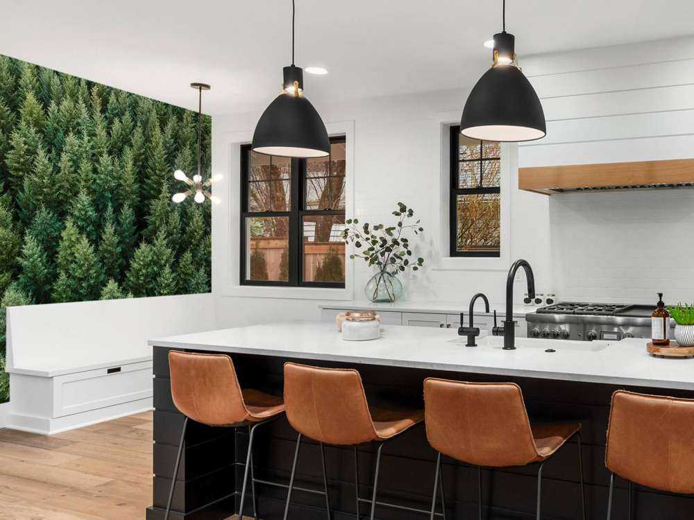 Abeti di Douglas dall'alto