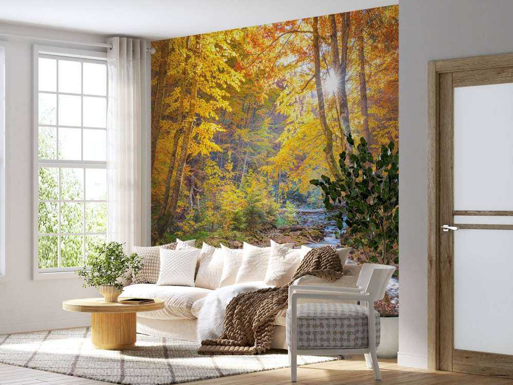 Autunno nella foresta selvaggia