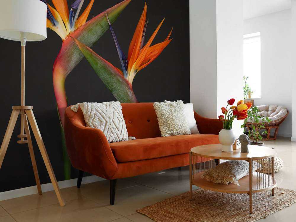 Fiori di uccello del paradiso