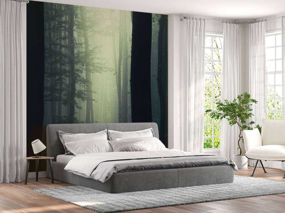 Raggio di sole nella foresta