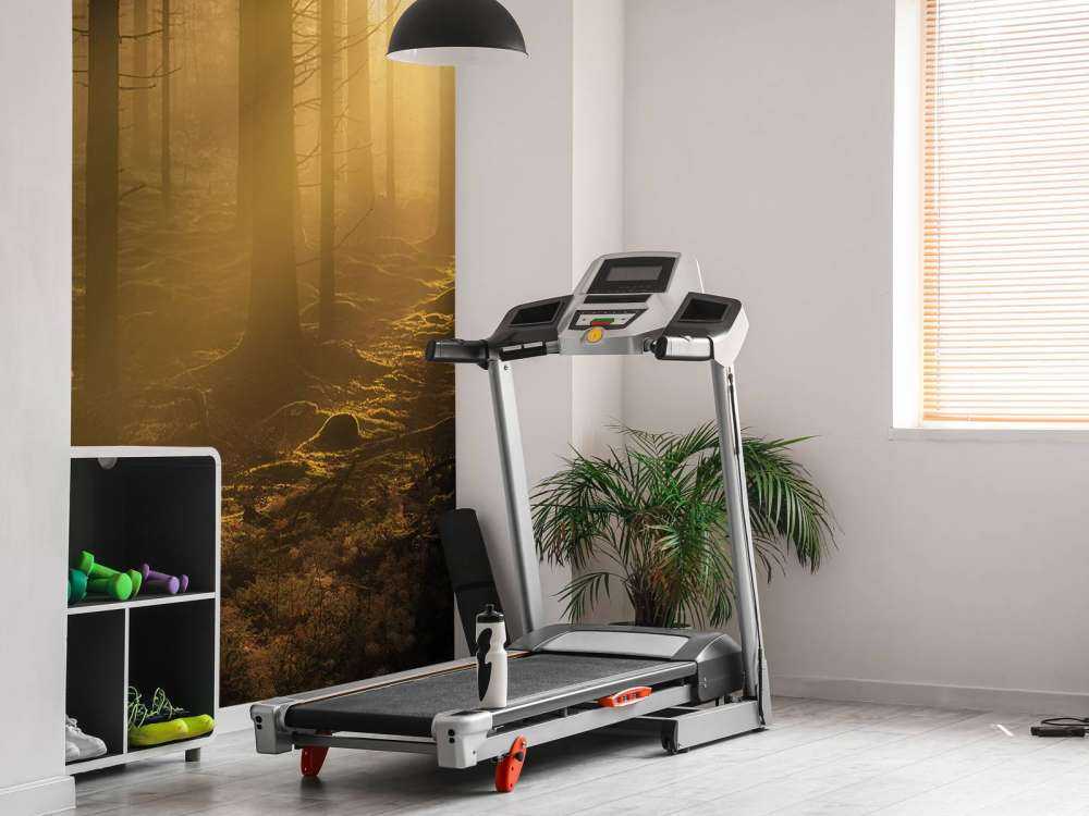 Scuro bosco autunnale