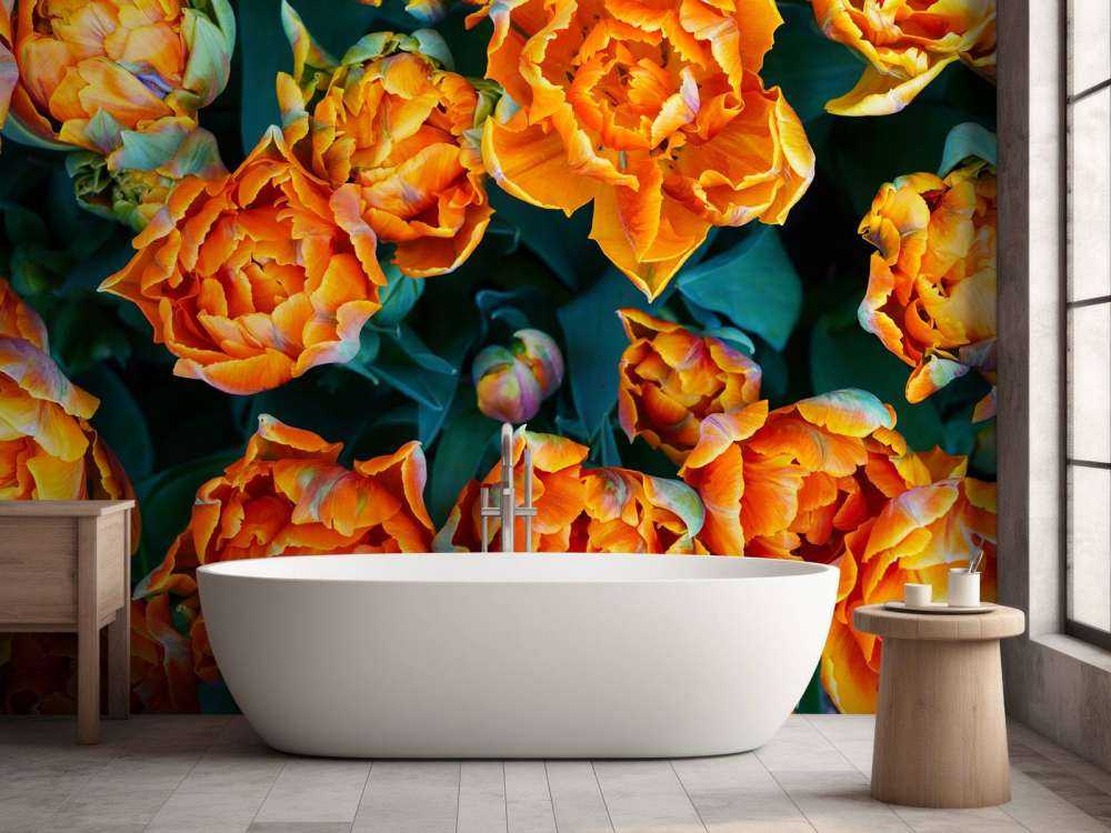 Tulipani arancioni ravvicinati