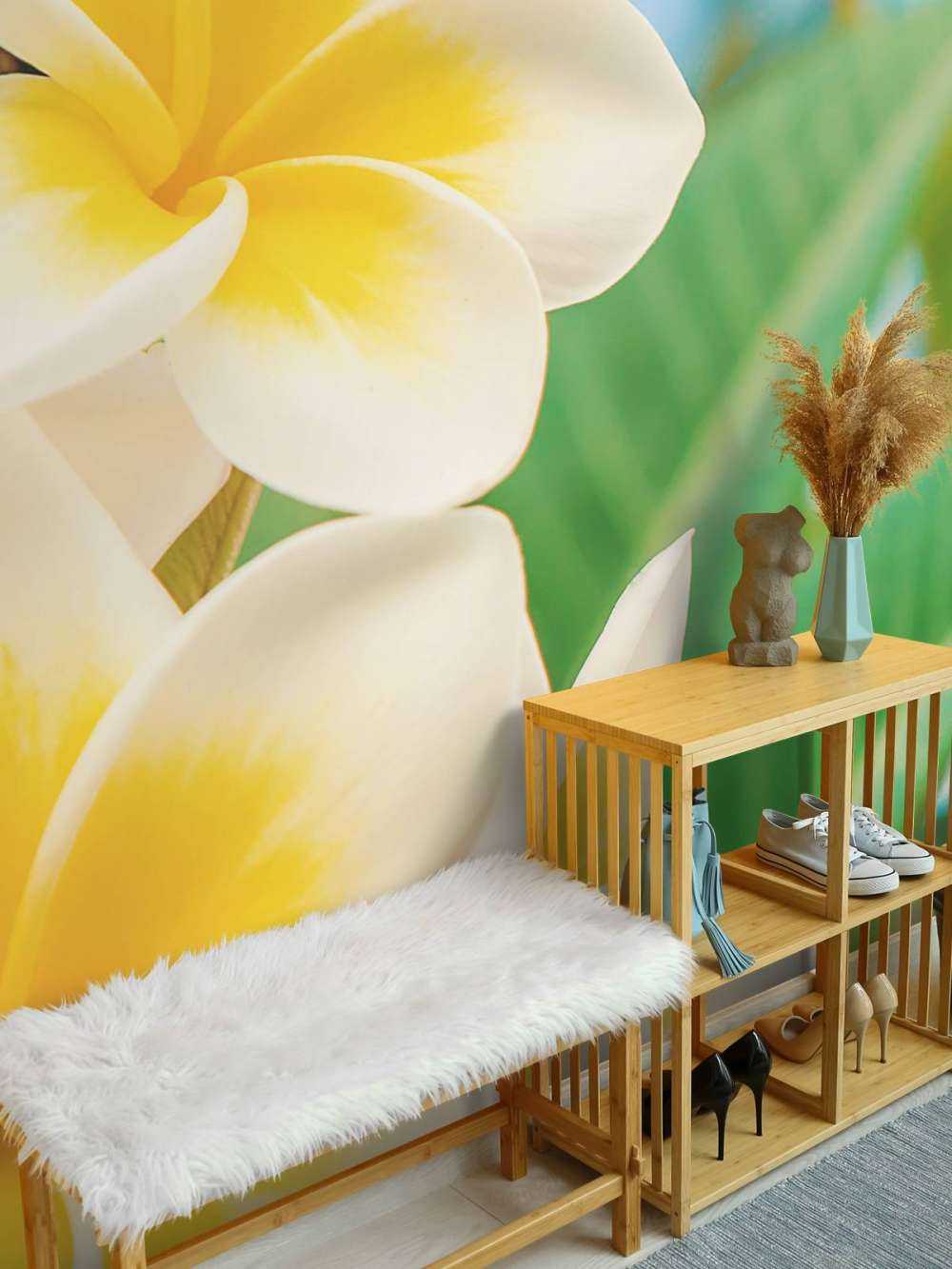 Fiore di plumeria bianco e giallo