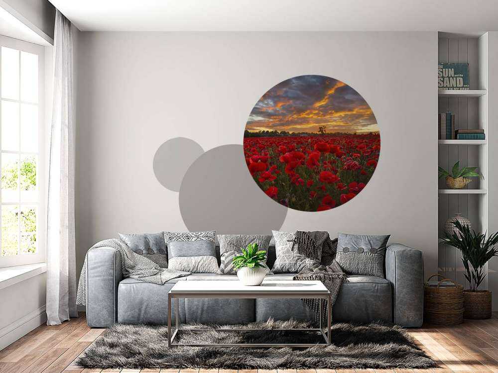 Campo di papaveri con un bel cielo