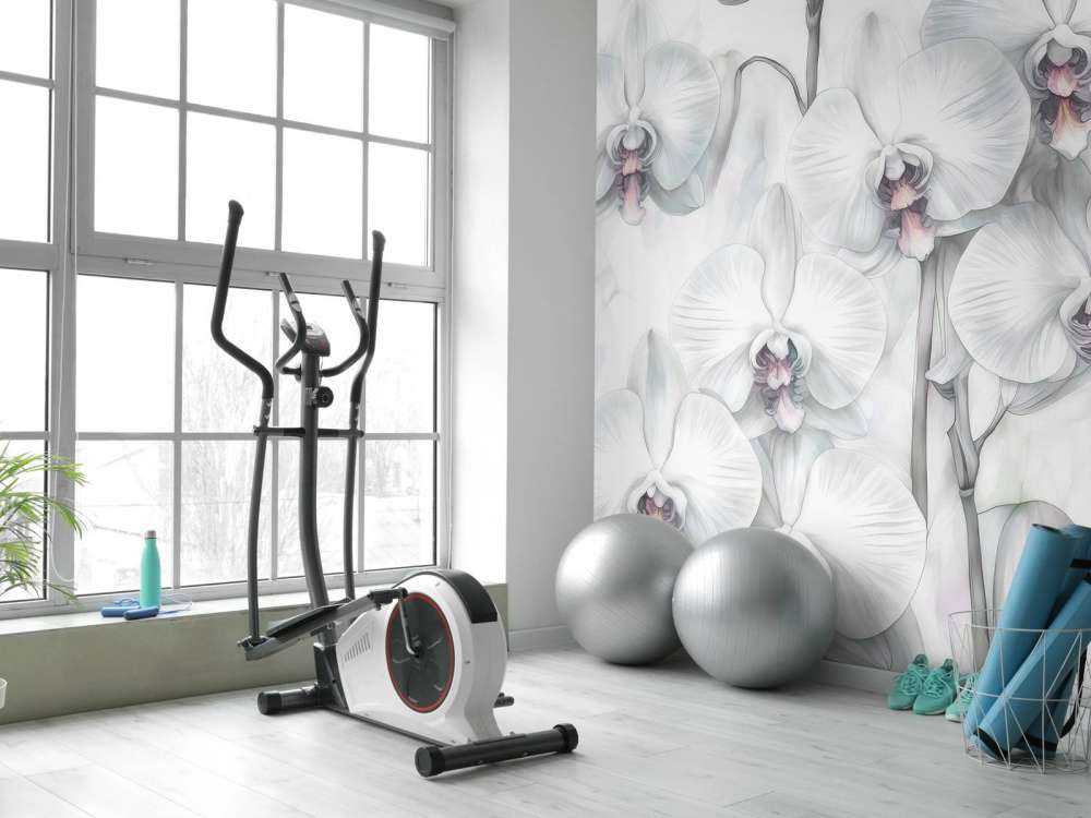 Paradiso delle Orchidee Verde