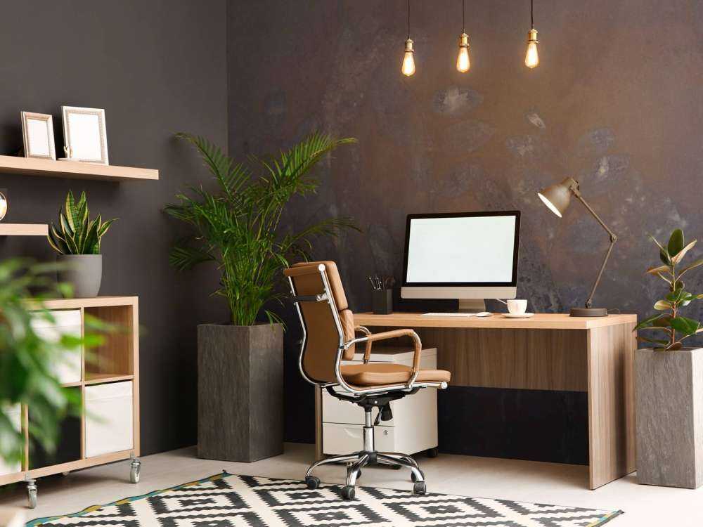 Schapenzuring e salice arbustivo - melanzana