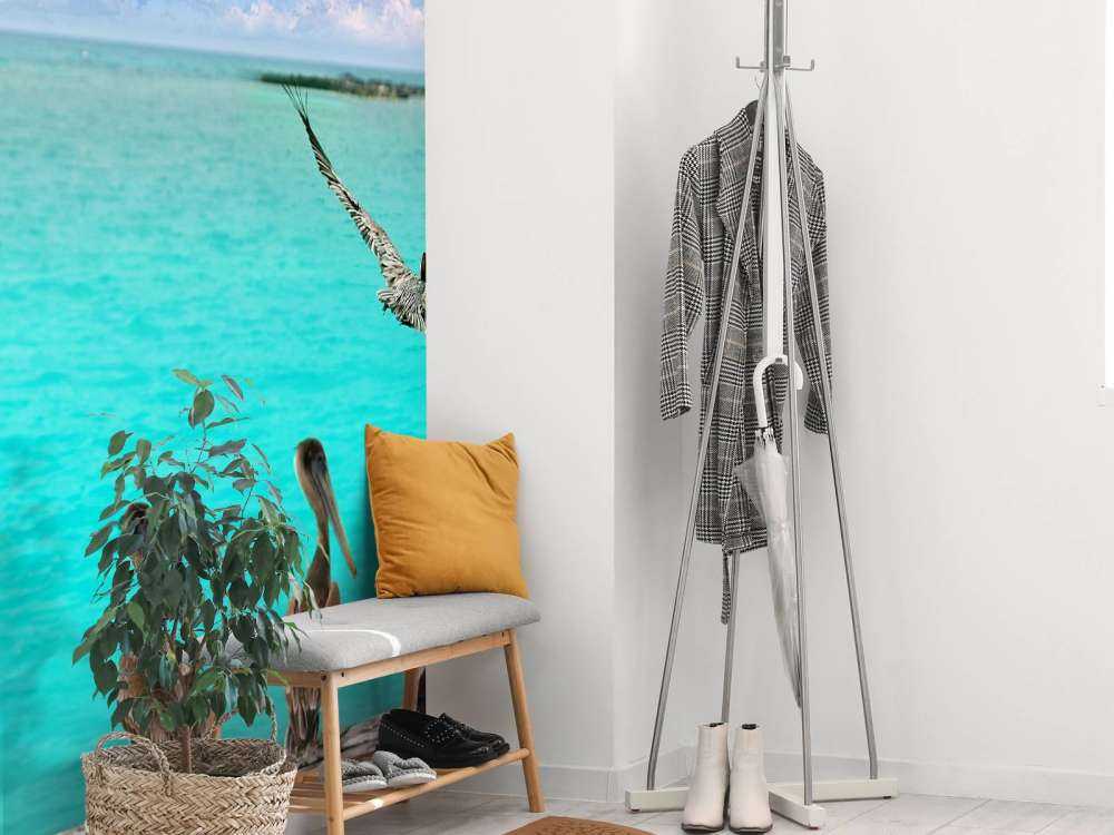 Pellicano dei Caraibi