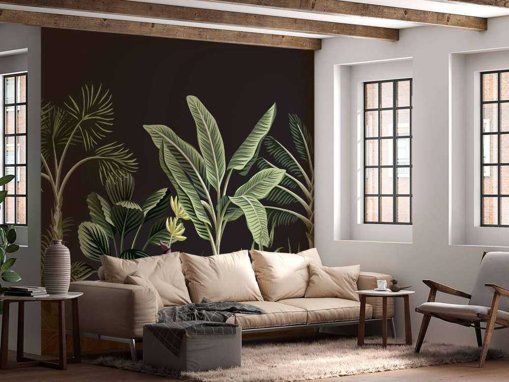 Palma tropicale su sfondo scuro