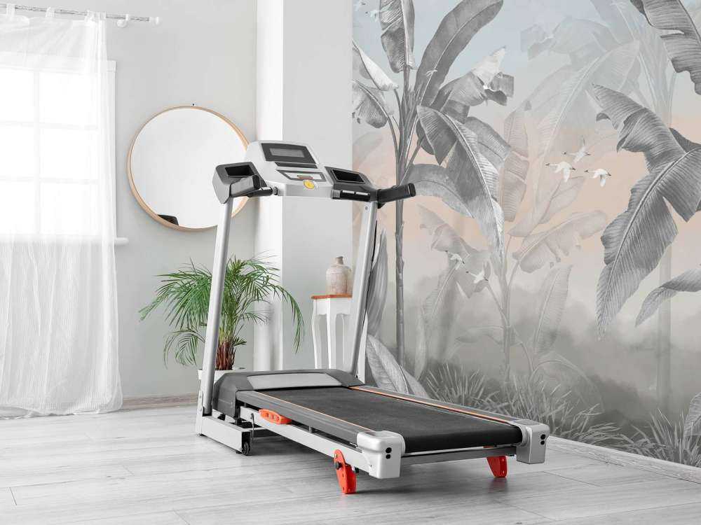 Alberi di banane tropicali