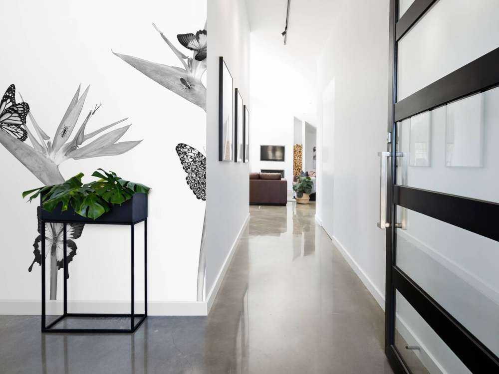 Farfalle su fiori di uccello del paradiso