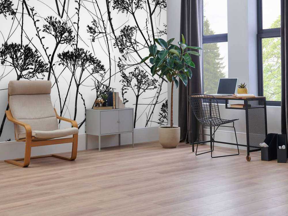 Silhouette of dried plants