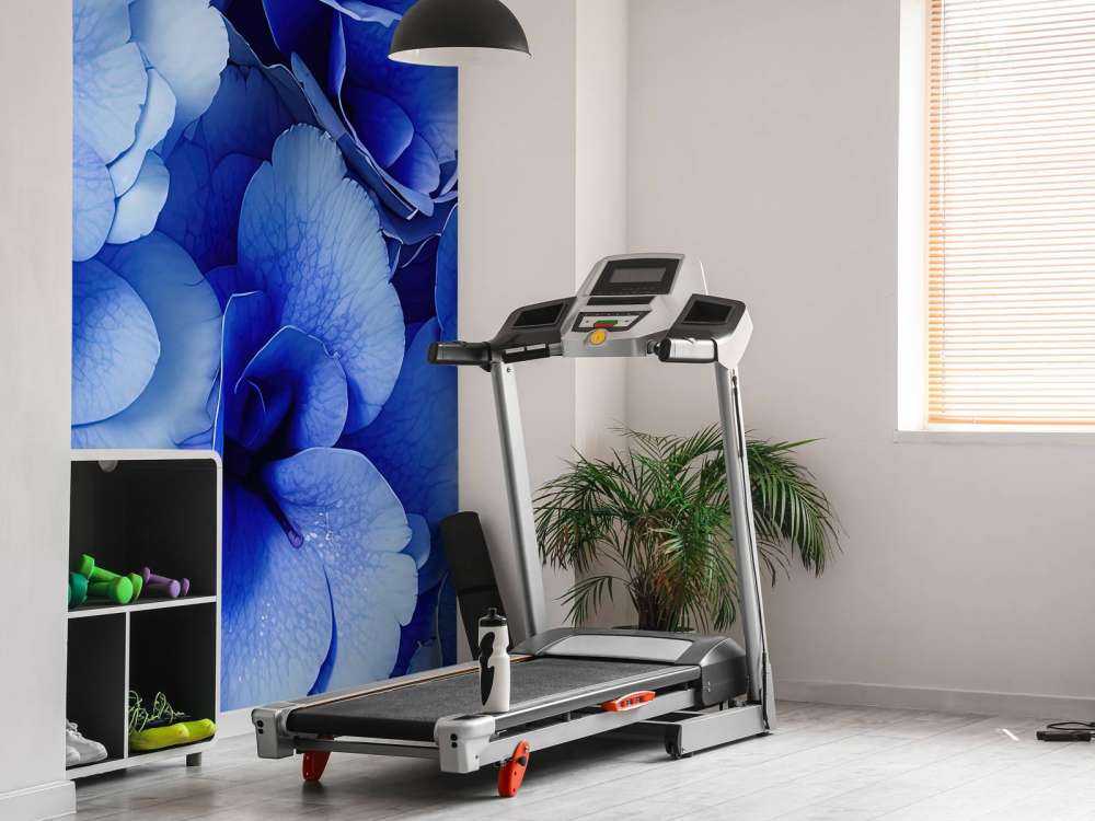 Ortensia in prima linea