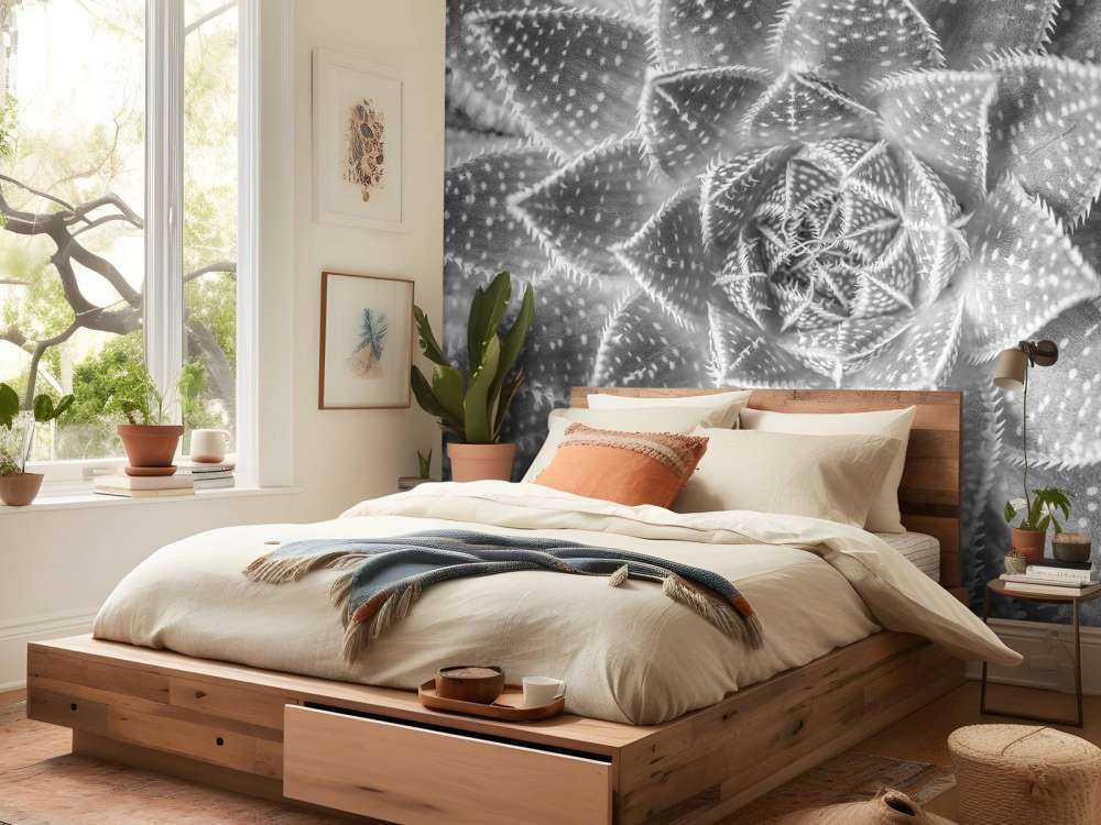 Primo piano di una succulenta