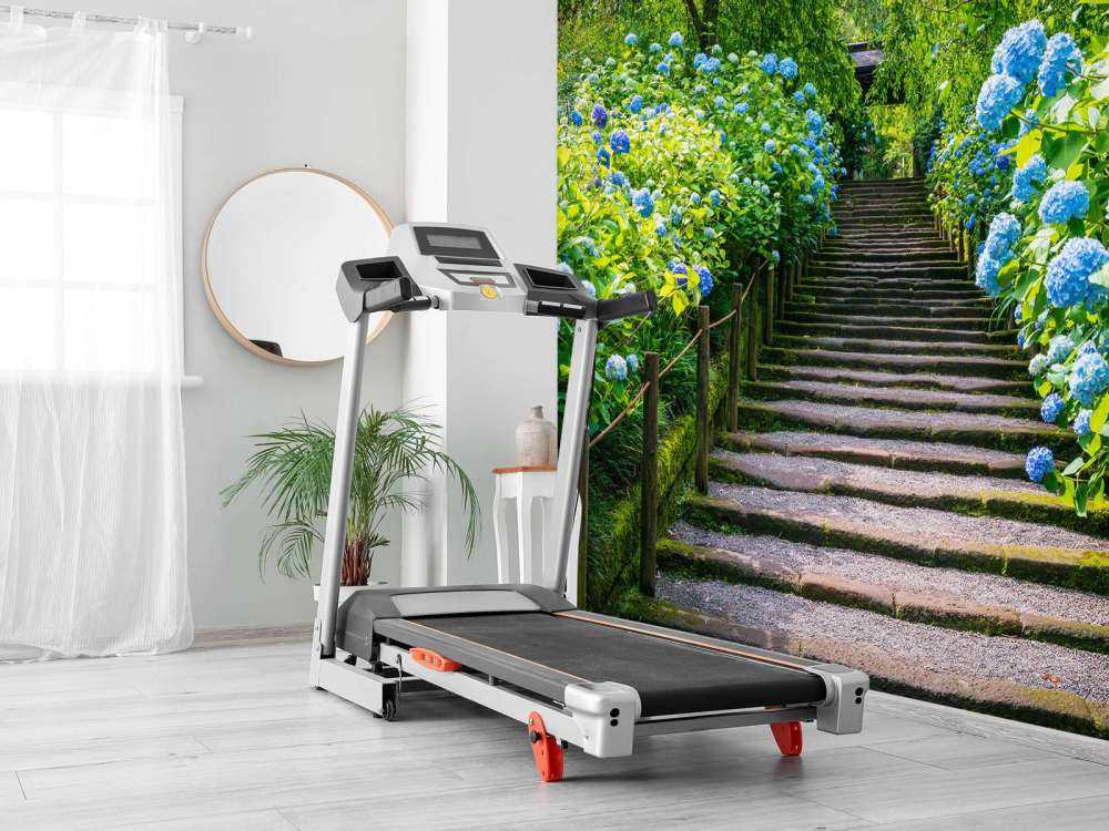 Scala tra le ortensie