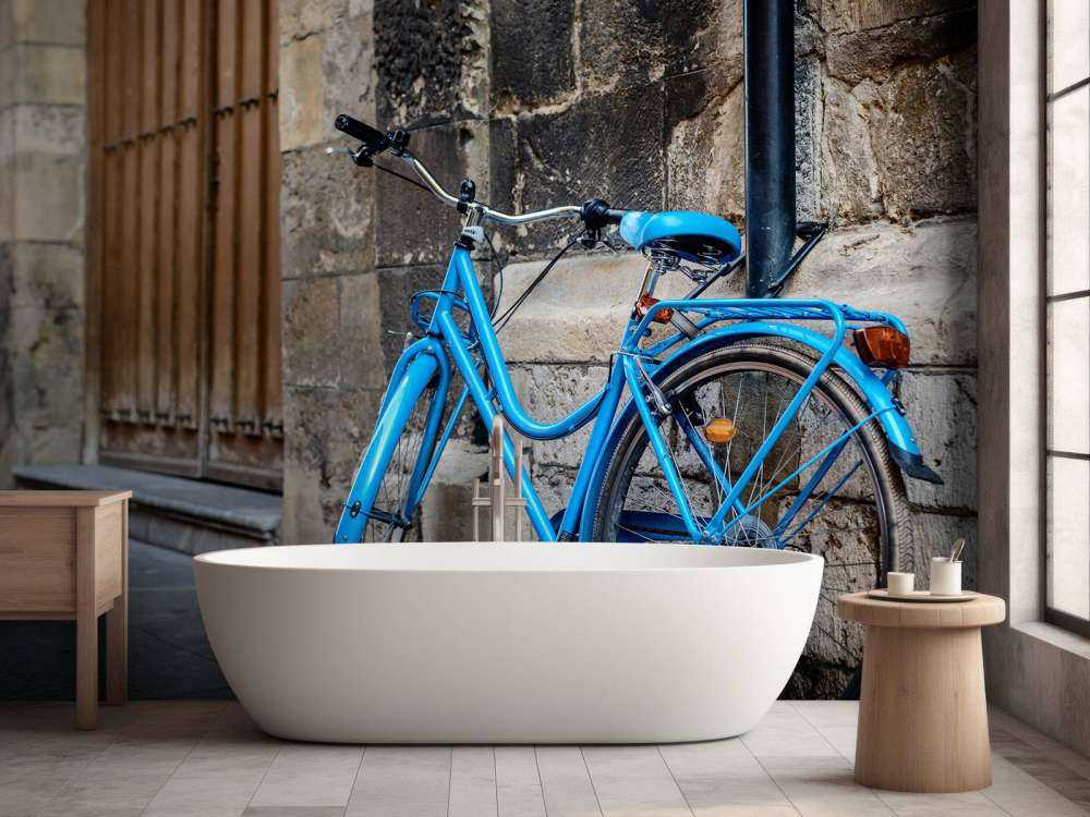 Bicicletta blu