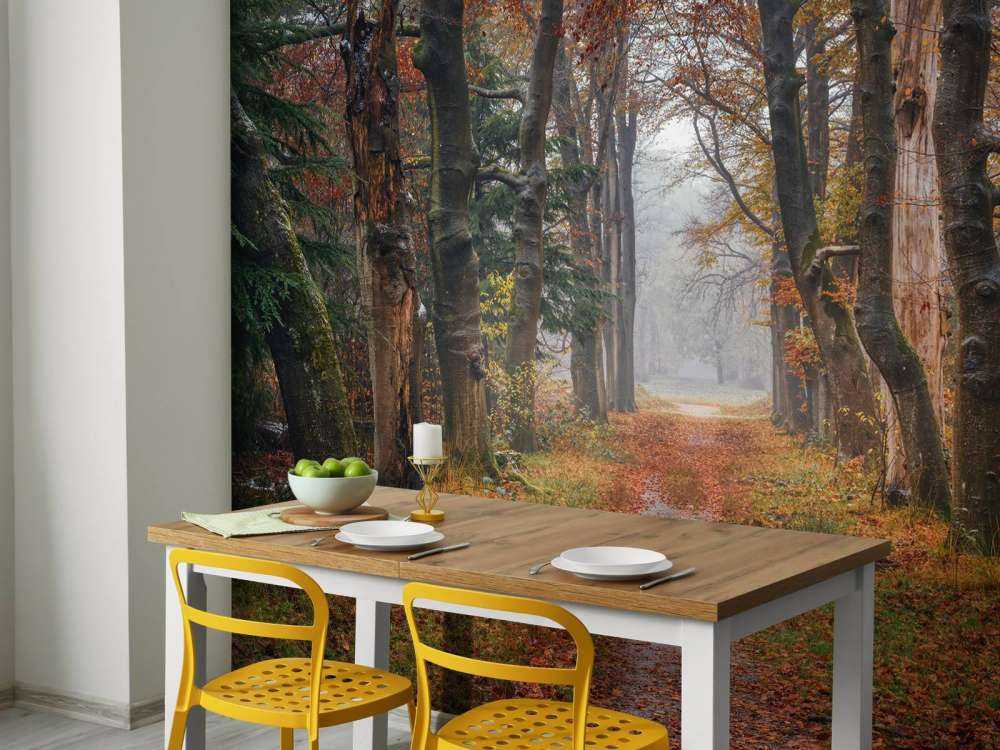 Sentiero forestale con alberi secolari