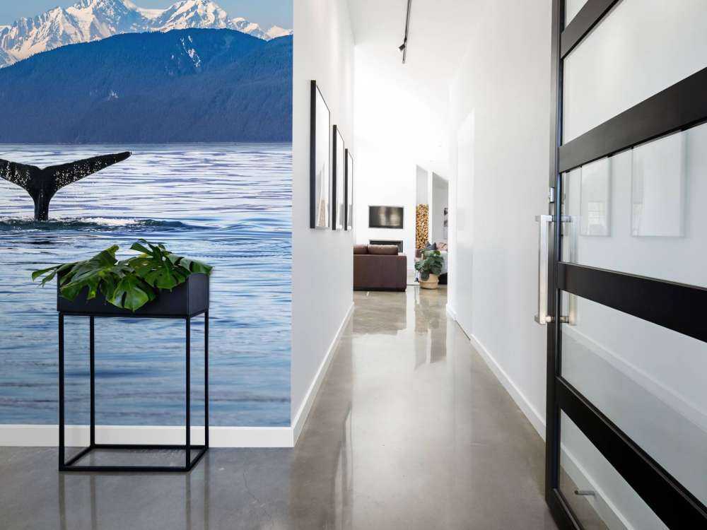 Immersione di balene con le montagne sullo sfondo