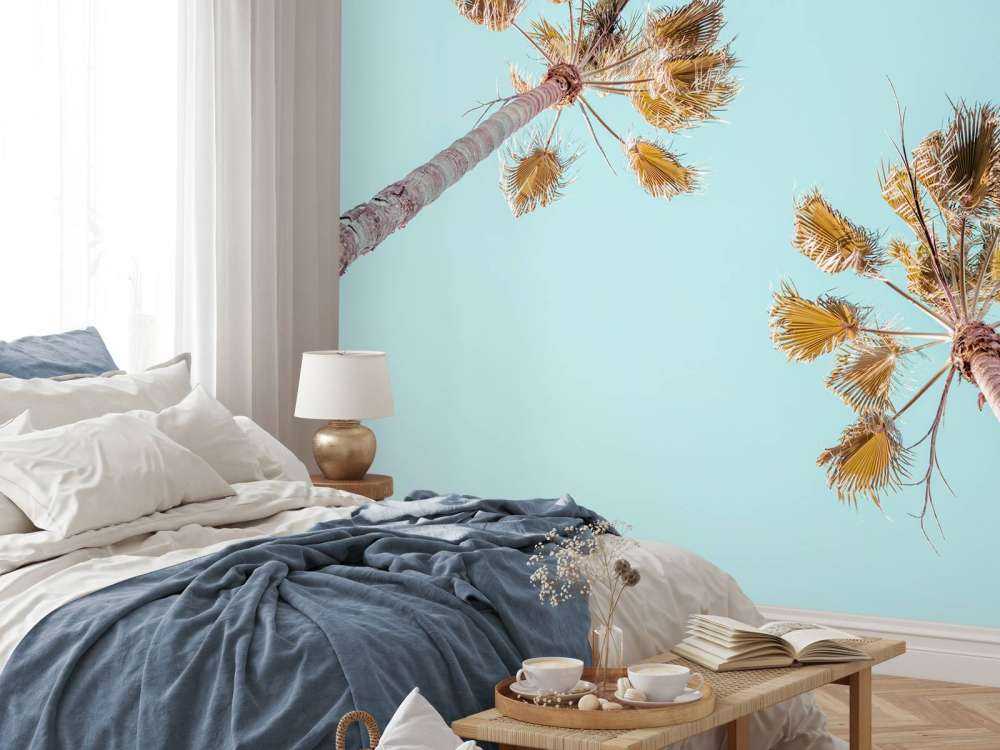 Palme e cielo azzurro