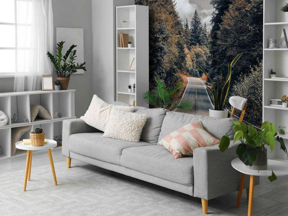 Foresta lungo una strada americana