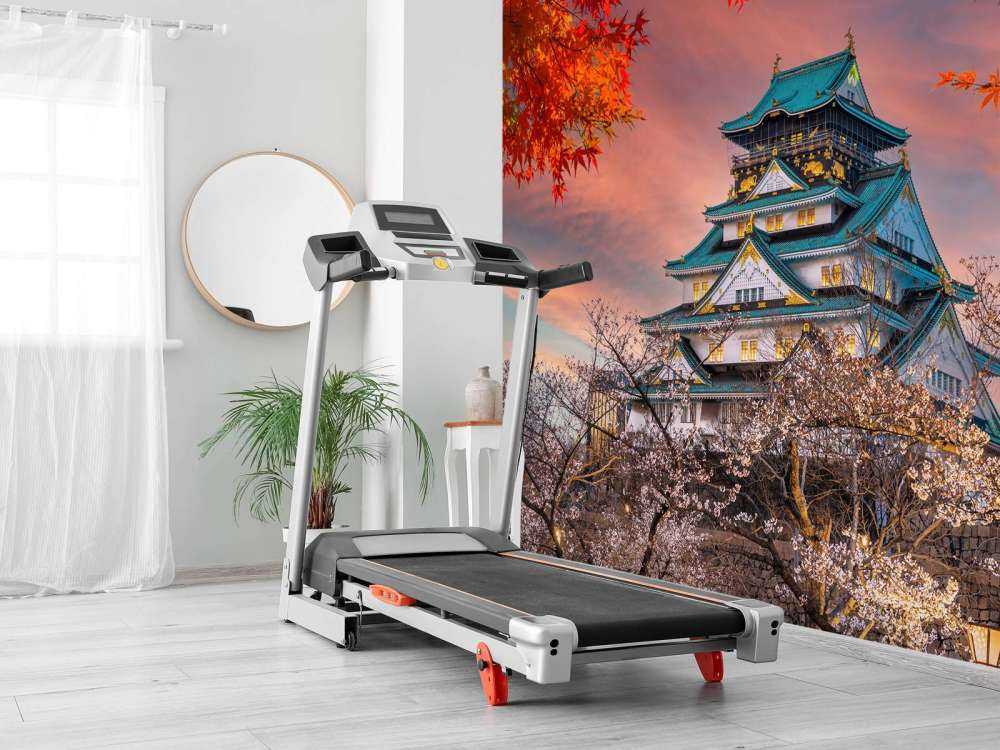 Il castello di Osaka tra gli alberi