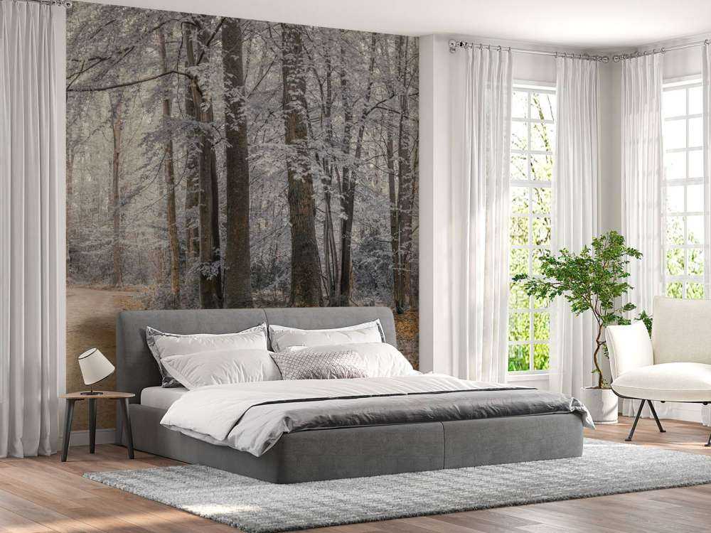 Alberi con foglie bianche