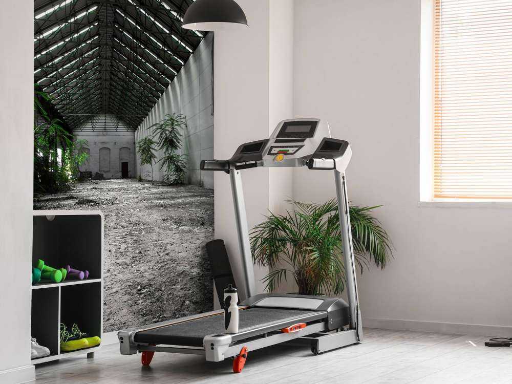 Sala industriale con piante