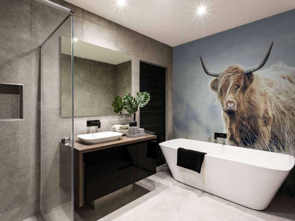 Highlander scozzese in natura