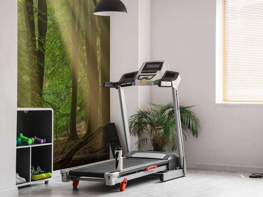 Arpe del sole nella foresta