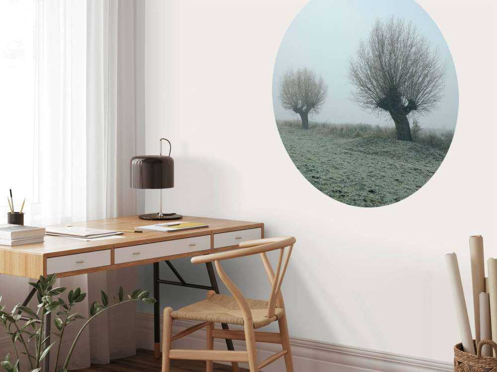 Salici di Pollard nella nebbia