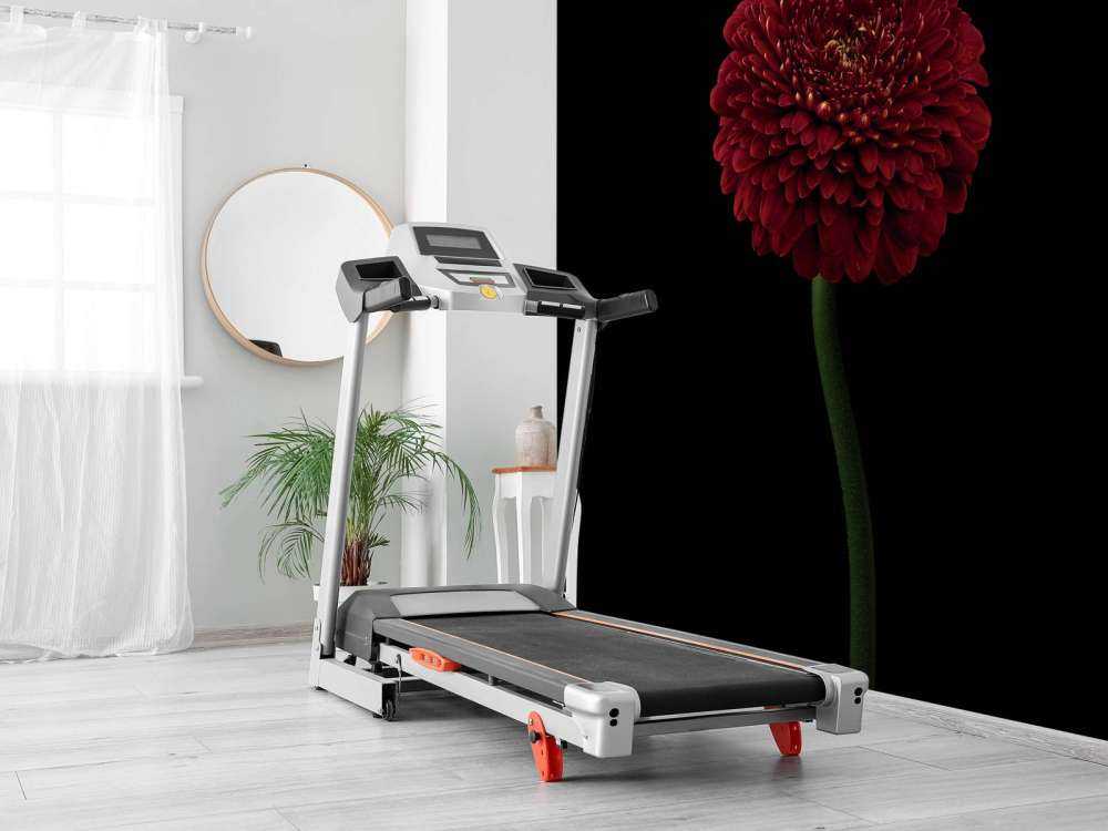 Fiore rosso su stelo