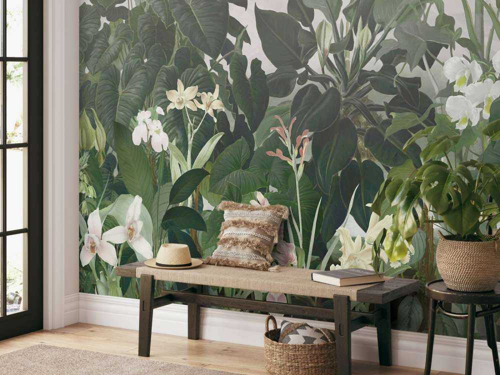 Walking to the Tropic 2