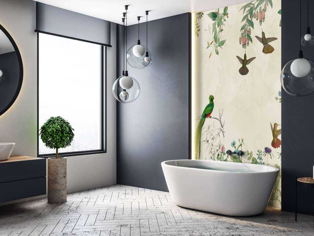 Campi di Uccelli Colorati